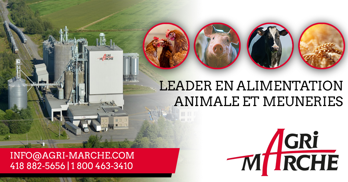 AgriMarche copie