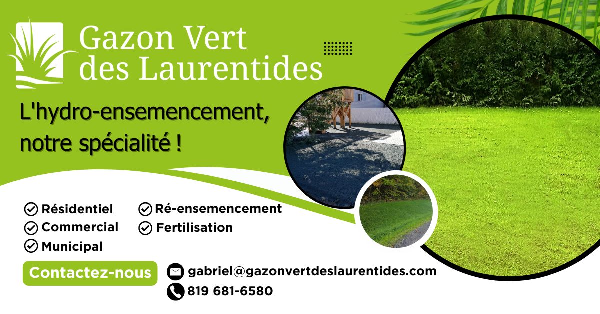 GAZON VERT DES LAURENTIDES