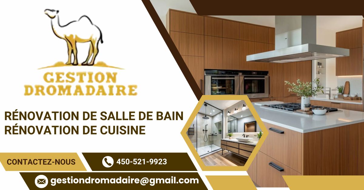 Gestion dromadaire 1