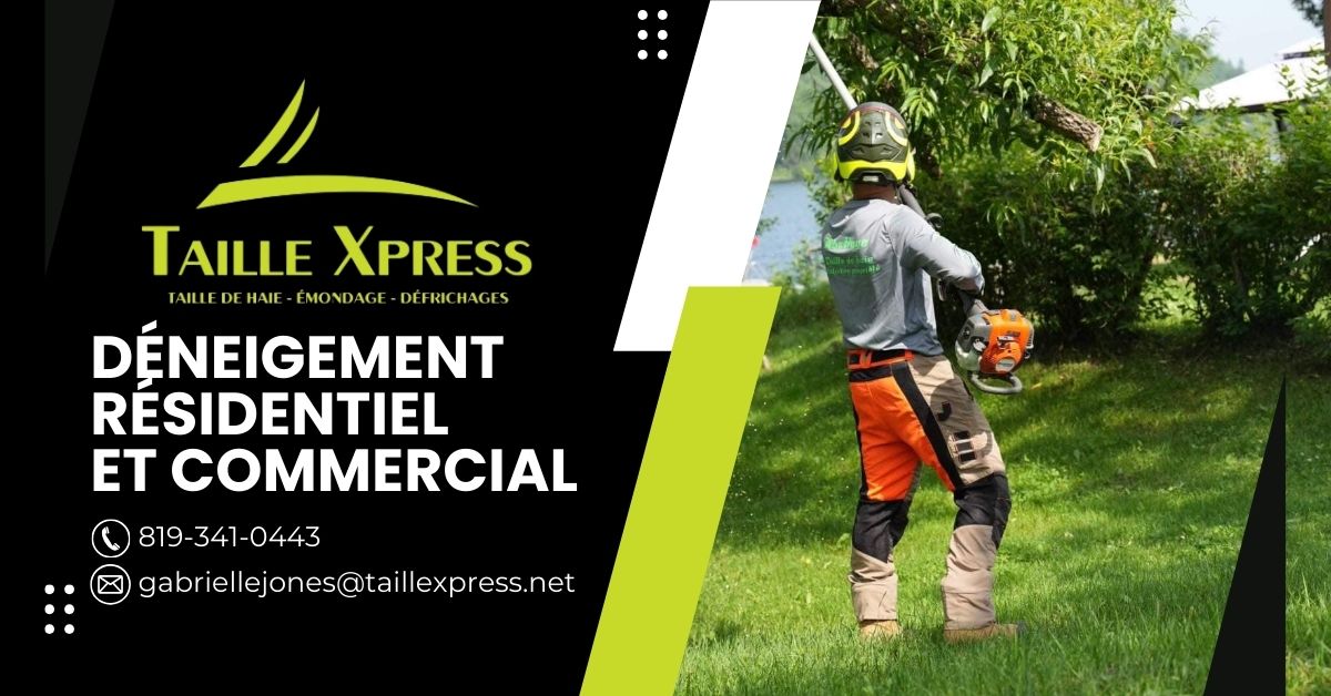 Taille Xpress 