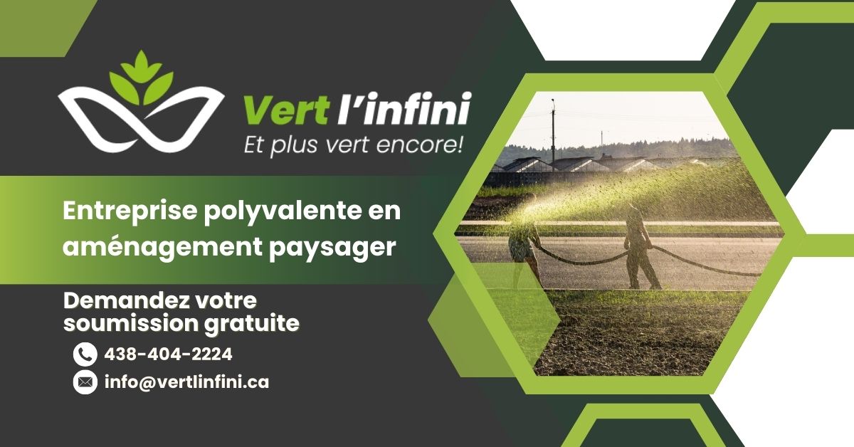 Vert linfini 