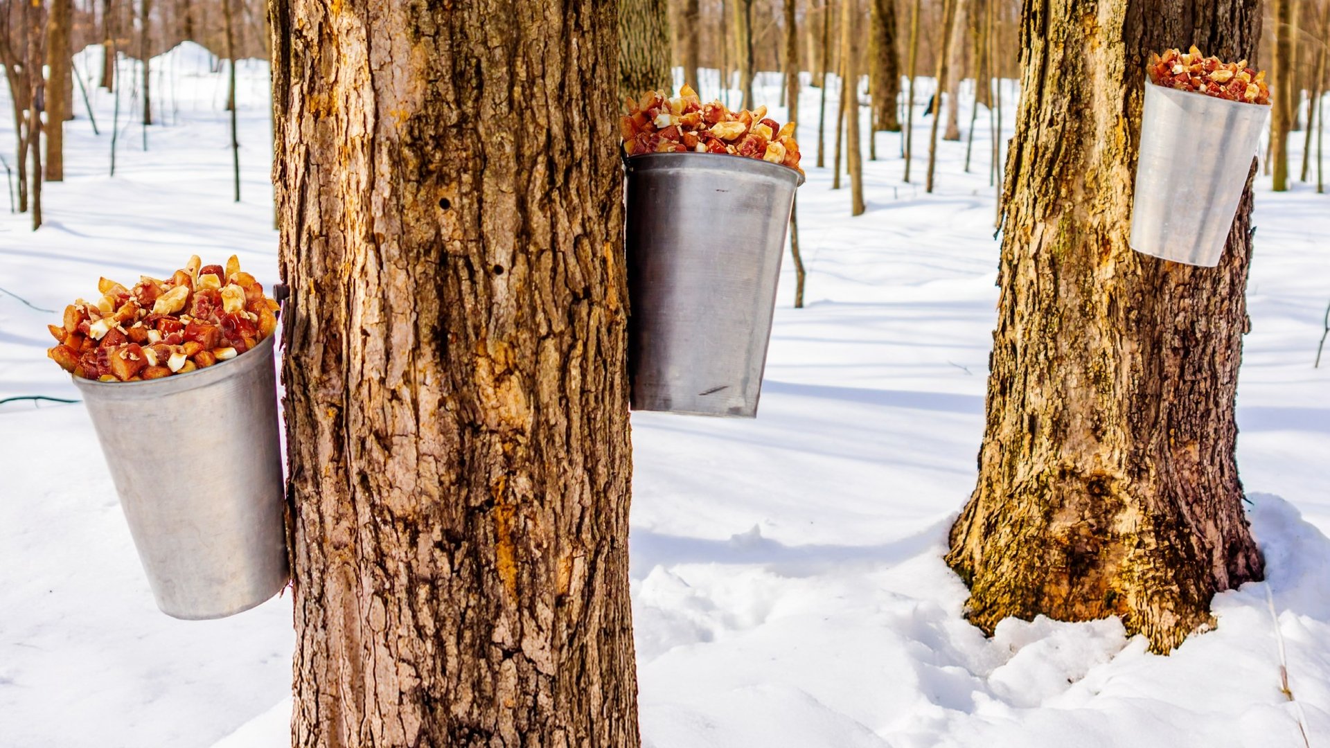 Restaurants Valentine LOriginal Avriljpg