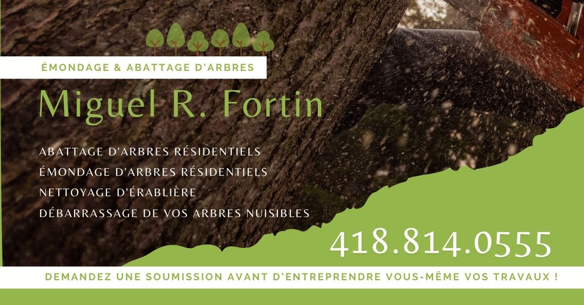 Emondage et abattage Miguel R Fortin