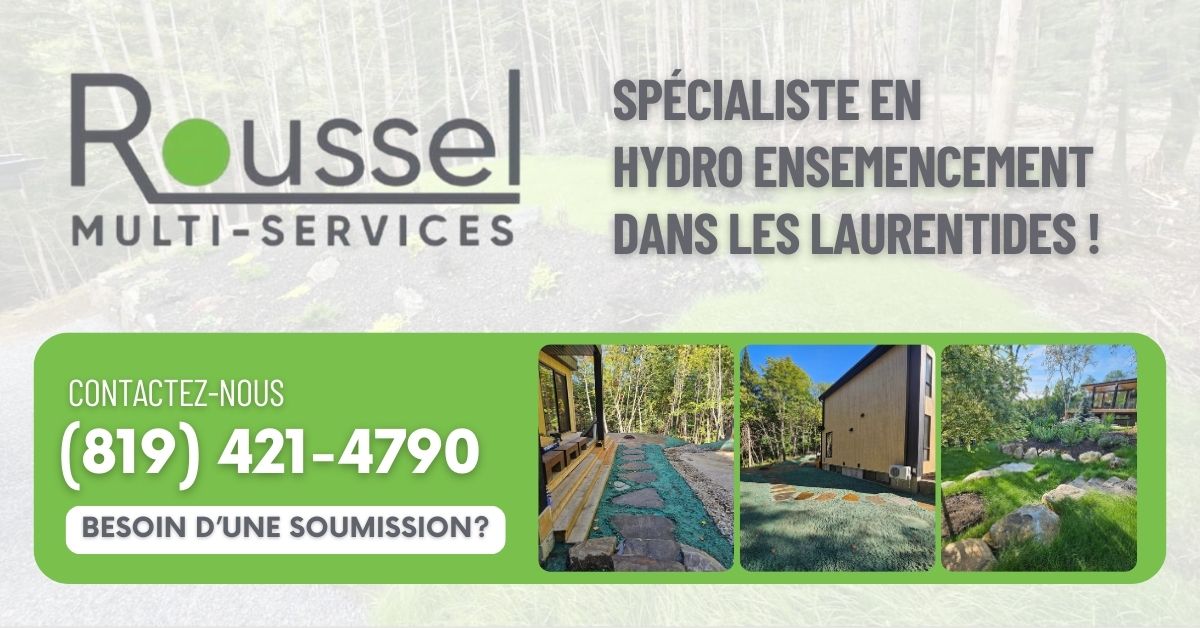 roussel multi service