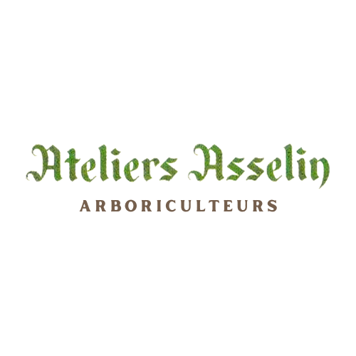 Les Ateliers Asselin - Arboriculture