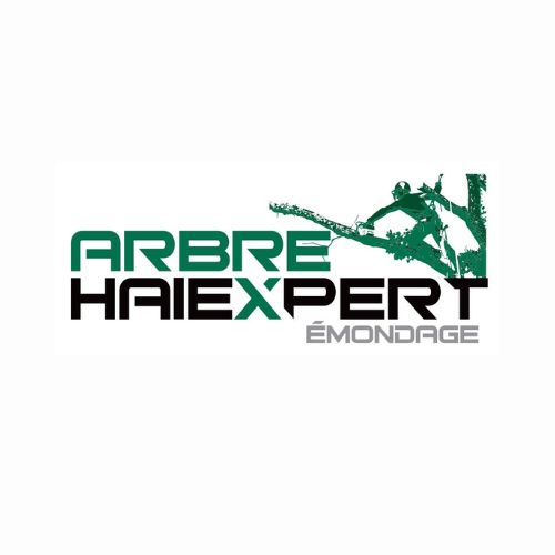 Arbre HaiExpert