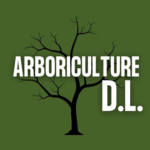 ARBORICULTEUR D.L.