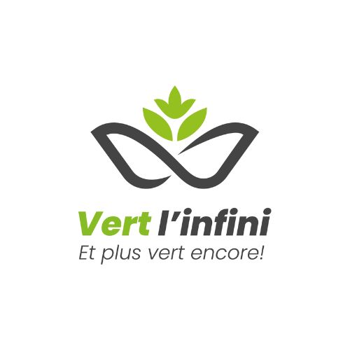 Vert l'infini