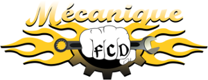 Mécanique FCD