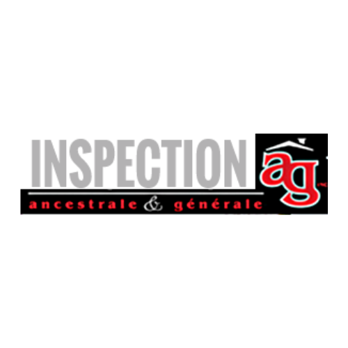 Inspection AG